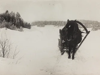 Erster Weltkrieg: die Ukraine in den Jahren 1914-1916 während der Invasion der deutschen Armee. Ein Pferdeschlitten im Schnee (s/w Foto)