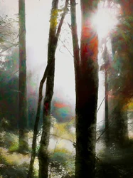 Wage es zu glauben, 2018