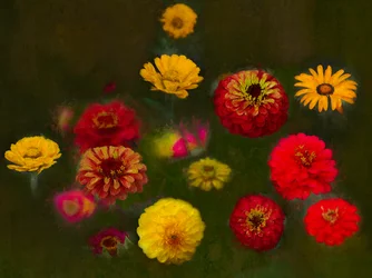 Herausragende Schönheit, 2019