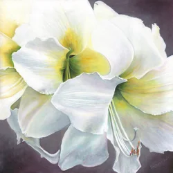 Reines Potenzial, 2016