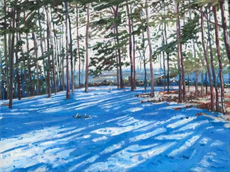 Verschneiter Grat, 2009