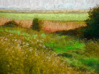 Sommerwiese, 2019