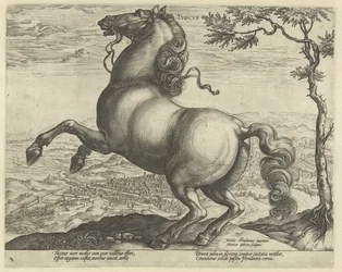 Pferd aus der Toskana
Pferderassen aus den königlichen Ställen von Don Juan von Österreich (Serientitel)