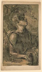 Heiliger Johannes der Evangelist in der Wildnis
