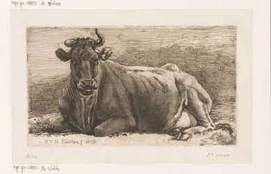 Liegende Kuh