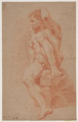 Männliches Modellstudie