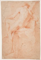 Männliches Modellstudie, sitzend, von hinten gesehen