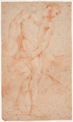 Männliches Modellstudie, stehend