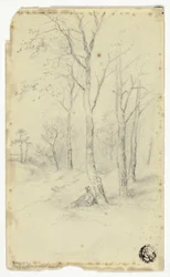 Mann sitzt unter Bäumen