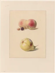Pfirsich, Brombeere und Haselnuss und eine Birne