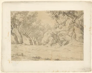 Allee mit bewachsenen Felsen