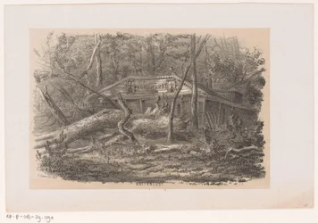 Umgestürzter Baum bei Buitenlust, nach dem Sturm vom 28. Mai 1860 Album von zehn lithographierten Skizzen, darstellend Szenen der Verwüstung, verursacht durch den Sturm vom 28. Mai 1860 im Haagse Bos