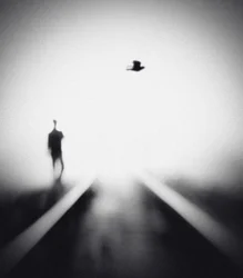 Einsamer Mann mit fliegendem Vogel