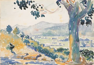 Die Ebene von Bormes (Morgen)