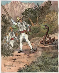 Schlangenangriff