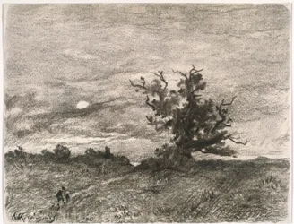 Mondscheinlandschaft