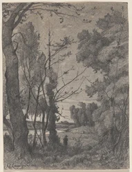 Bewaldete Landschaft an einem Fluss