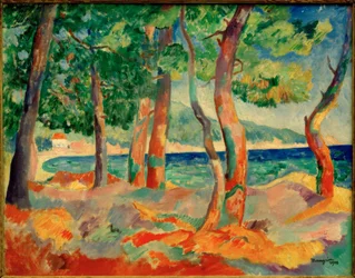 Der Pinienhain in Cavalière