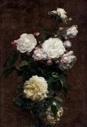 Weiße Rosen