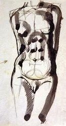 Weiblicher Torso