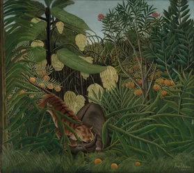 Kampf zwischen einem Tiger und einem Büffel, 1908
