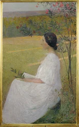 Die Muse