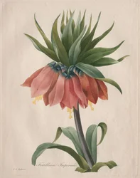 Kaiserkrone, 1827