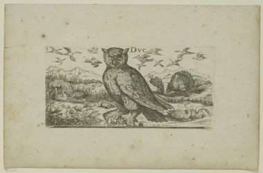 Eule und andere Vögel Vögel (Serientitel)