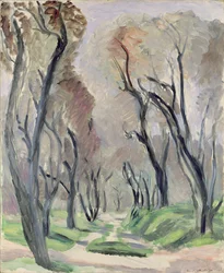 Allee der Olivenbäume