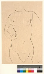 Torse von vorne