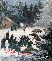 Bärenangriff, Russland, 1892
