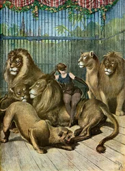 Porträt der Gräfin von X*** und ihrer Löwen 1895 (Illustration)
