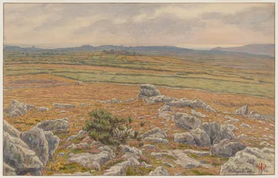 Heidelandschaft von Morgat