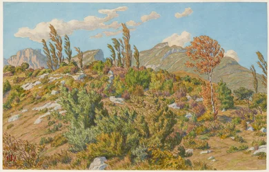 Hochebenen von Barberaz
