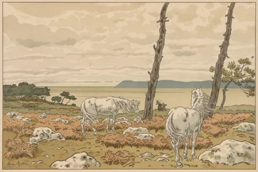 Aspekte der Natur: Die Bucht