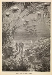 Ein Spaziergang unter den Wassern aus 20.000 Meilen unter dem Meer (Gravur)