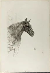Philibert das Pony