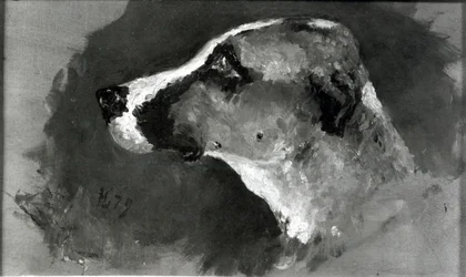 Kopf eines Hundes mit kurzen Ohren, 1879