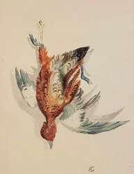 Rouge de rivière, ca. 1877-80