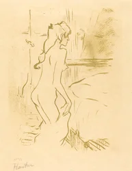 Studie einer Frau, 1893