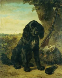 Ein flach beschichteter Retriever bei einem Baum