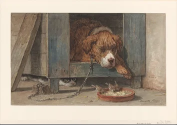 Katze beobachtet Vögel bei einem schlafenden Hund