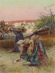 Ährenleser auf dem Feld (Farblithografie)