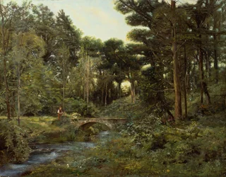 Waldlandschaft
