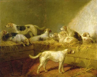 Ein Jagdkennel