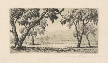 Kalifornische Landschaft