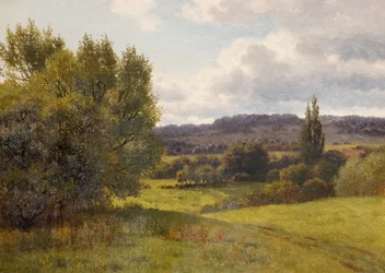 Landschaft mit Bäumen
