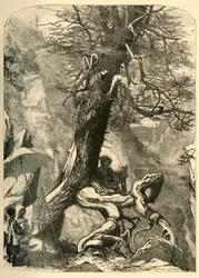 Über der natürlichen Brücke, 1872