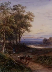 Das Holzfällerteam bei Sonnenuntergang