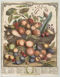 Zwölf Monate Obst: Juli